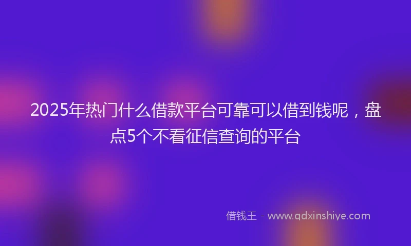 2025年热门什么借款平台可靠可以借到钱呢，盘点5个不看征信查询的平台