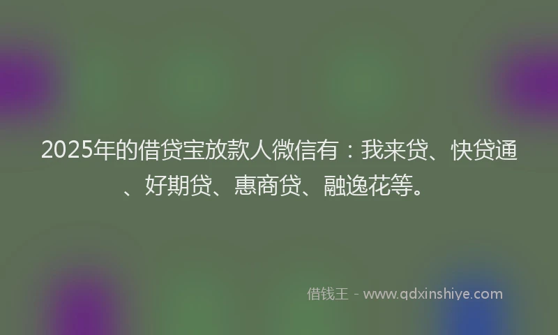 2025年的借贷宝放款人微信有：我来贷、快贷通、好期贷、惠商贷、融逸花等。