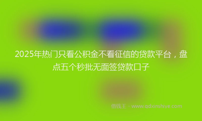 2025年热门只看公积金不看征信的贷款平台，盘点五个秒批无面签贷款口子