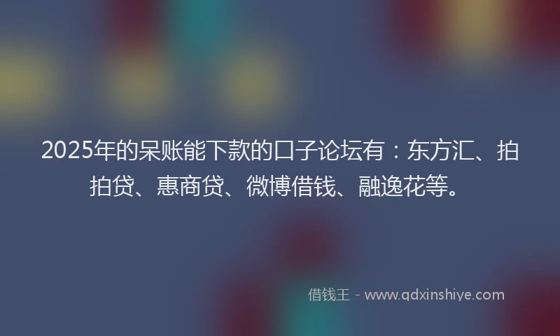 2025年的呆账能下款的口子论坛有：东方汇、拍拍贷、惠商贷、微博借钱、融逸花等。