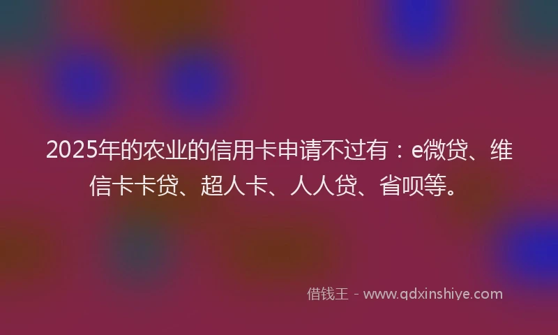 2025年的农业的信用卡申请不过有:e微贷、维信卡卡贷、超人卡、人人贷、省呗等。