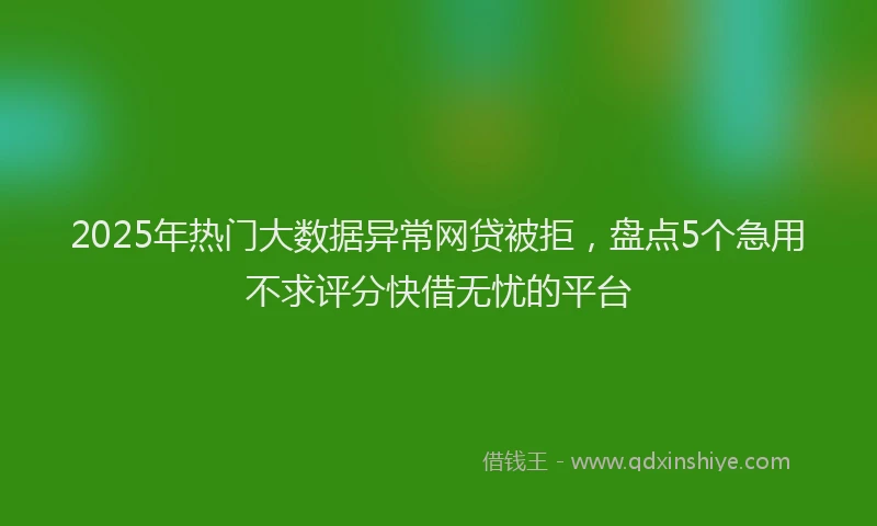 2025年热门大数据异常网贷被拒，盘点5个急用不求评分快借无忧的平台