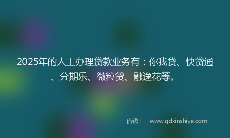 2025年的人工办理贷款业务有：你我贷、快贷通、分期乐、微粒贷、融逸花等。