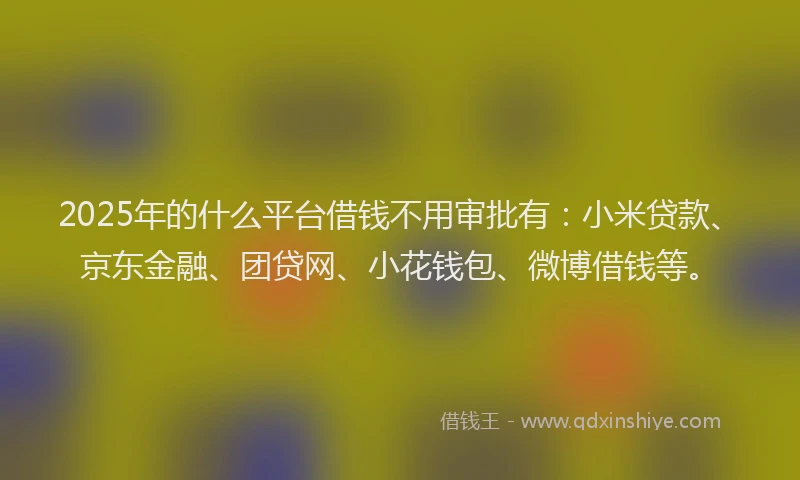 2025年的什么平台借钱不用审批有：小米贷款、京东金融、团贷网、小花钱包、微博借钱等。