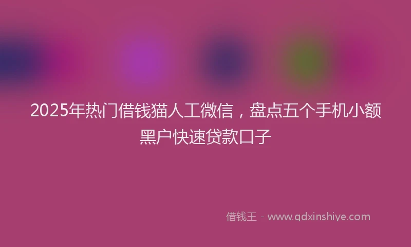 2025年热门借钱猫人工微信，盘点五个手机小额黑户快速贷款口子