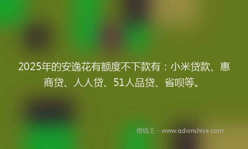 2025年的安逸花有额度不下款有：小米贷款、惠商贷、人人贷、51人品贷、省呗等。