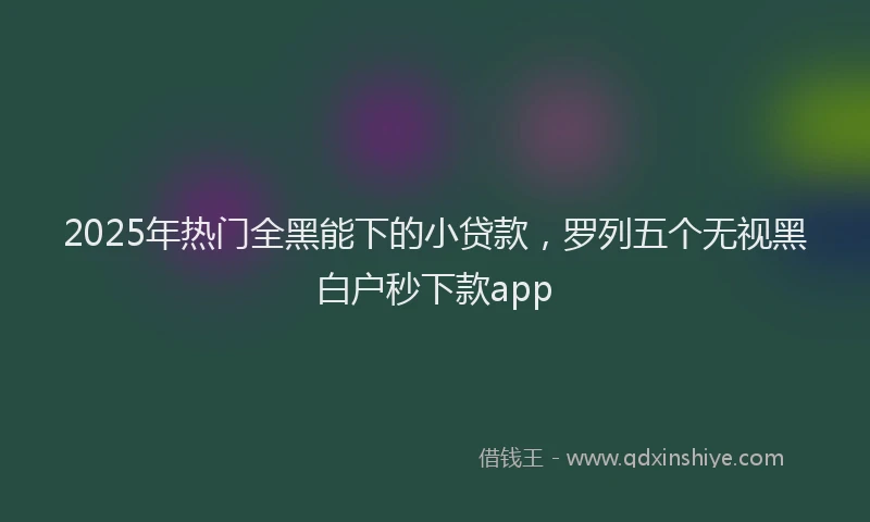 2025年热门全黑能下的小贷款，罗列五个无视黑白户秒下款app