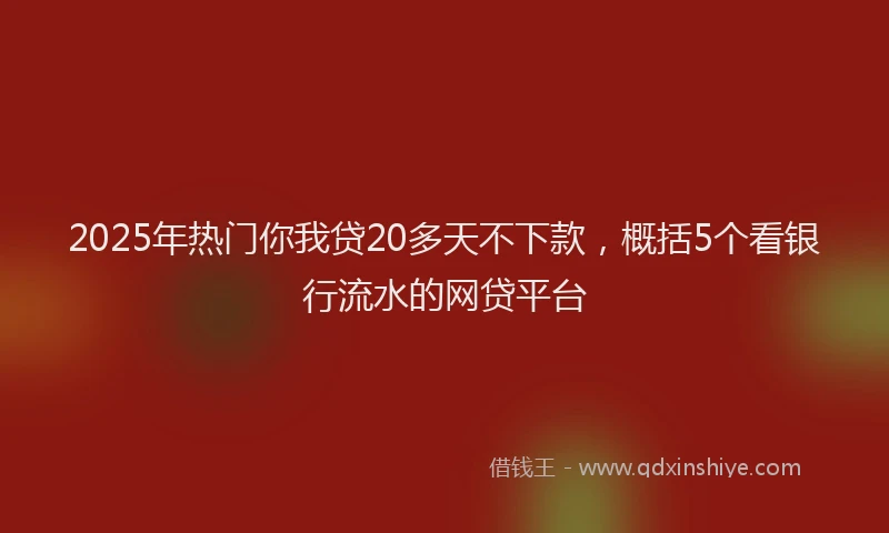 2025年热门你我贷20多天不下款，概括5个看银行流水的网贷平台