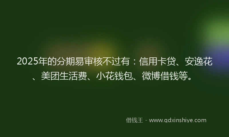 2025年的分期易审核不过有：信用卡贷、安逸花、美团生活费、小花钱包、微博借钱等。