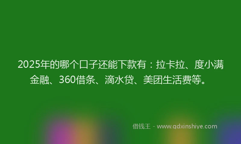 2025年的哪个口子还能下款有：拉卡拉、度小满金融、360借条、滴水贷、美团生活费等。