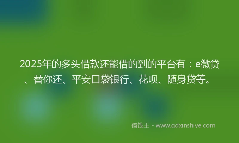 2025年的多头借款还能借的到的平台有：e微贷、替你还、平安口袋银行、花呗、随身贷等。