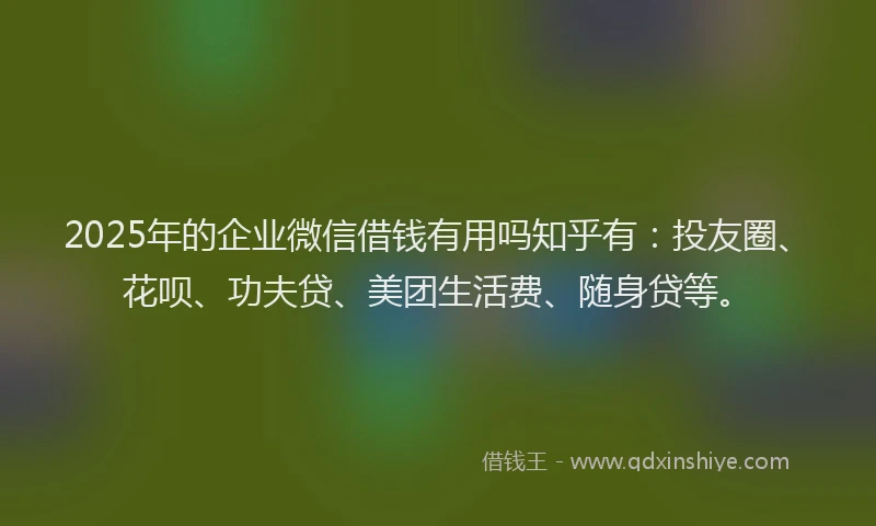 2025年的企业微信借钱有用吗知乎有：投友圈、花呗、功夫贷、美团生活费、随身贷等。