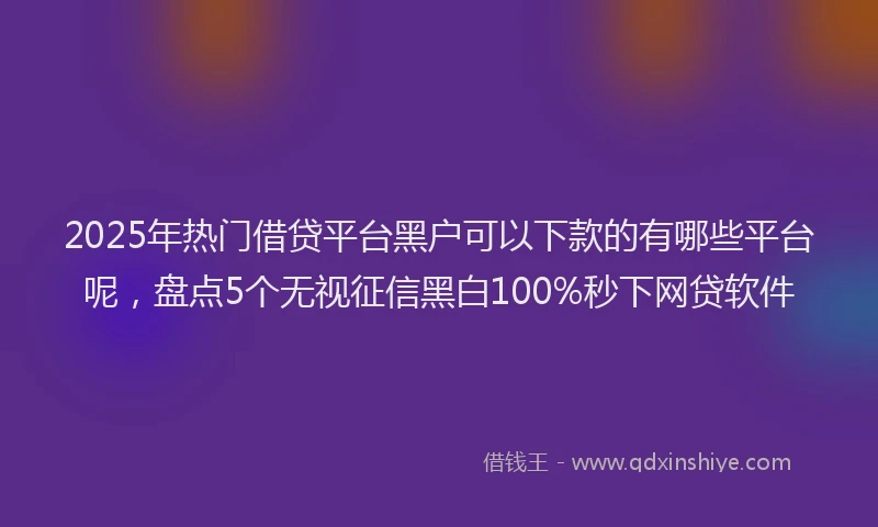 2025年热门借贷平台黑户可以下款的有哪些平台呢，盘点5个无视征信黑白100%秒下网贷软件