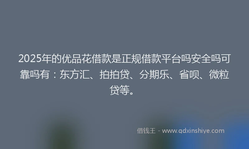 2025年的优品花借款是正规借款平台吗安全吗可靠吗有：东方汇、拍拍贷、分期乐、省呗、微粒贷等。