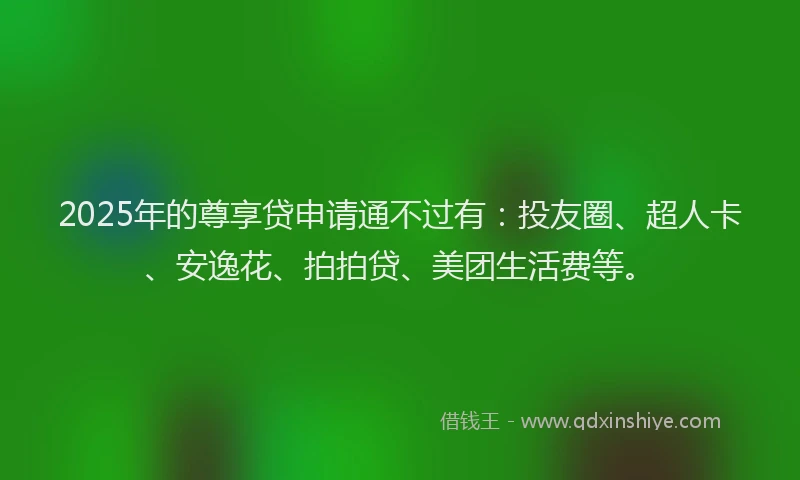 2025年的尊享贷申请通不过有：投友圈、超人卡、安逸花、拍拍贷、美团生活费等。