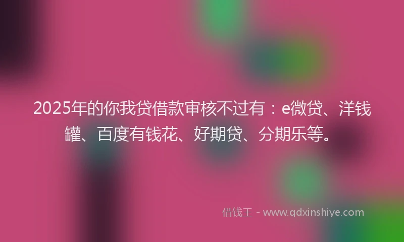 2025年的你我贷借款审核不过有：e微贷、洋钱罐、百度有钱花、好期贷、分期乐等。