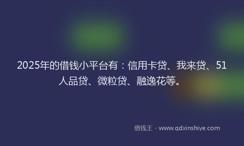 2025年的借钱小平台有:信用卡贷、我来贷、51人品贷、微粒贷、融逸花等。