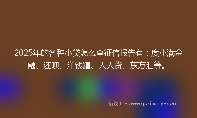 2025年的各种小贷怎么查征信报告有：度小满金融、还呗、洋钱罐、人人贷、东方汇等。