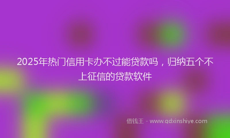 2025年热门信用卡办不过能贷款吗，归纳五个不上征信的贷款软件