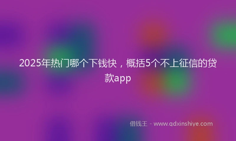 2025年热门哪个下钱快，概括5个不上征信的贷款app