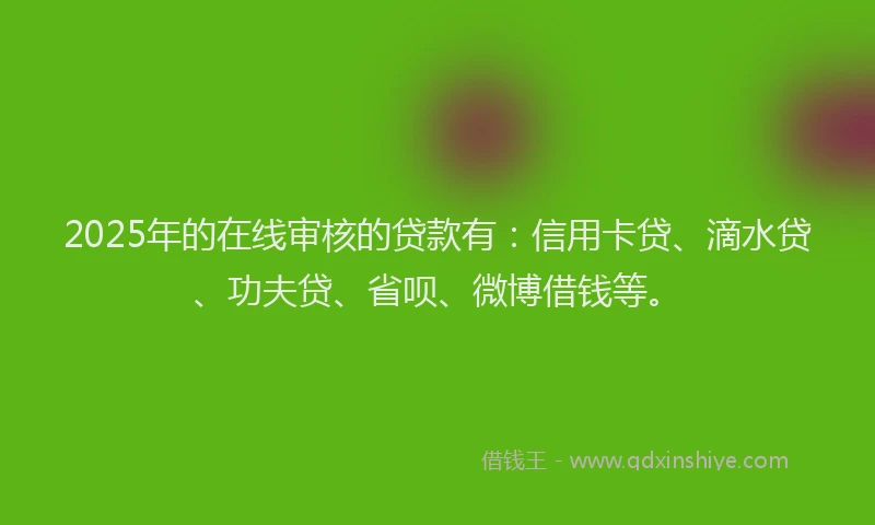 2025年的在线审核的贷款有：信用卡贷、滴水贷、功夫贷、省呗、微博借钱等。