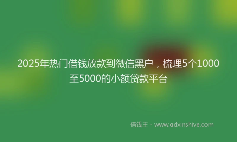 2025年热门借钱放款到微信黑户，梳理5个1000至5000的小额贷款平台