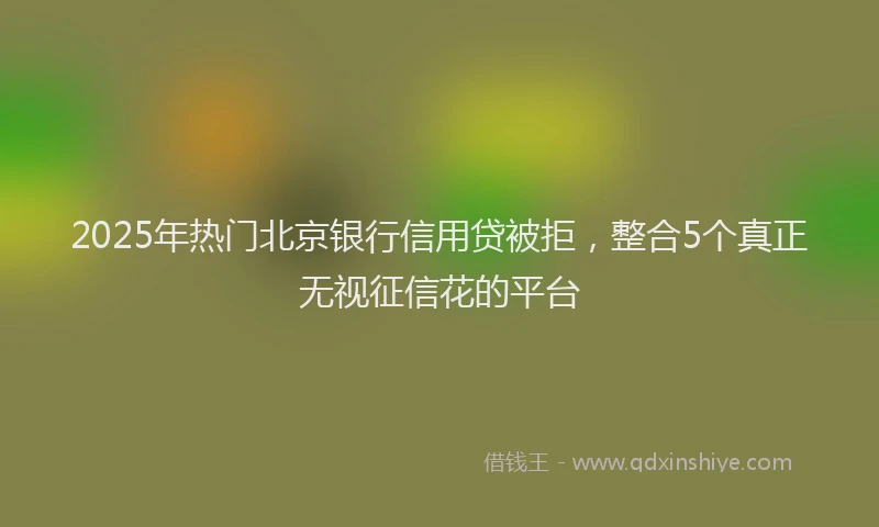 2025年热门北京银行信用贷被拒，整合5个真正无视征信花的平台