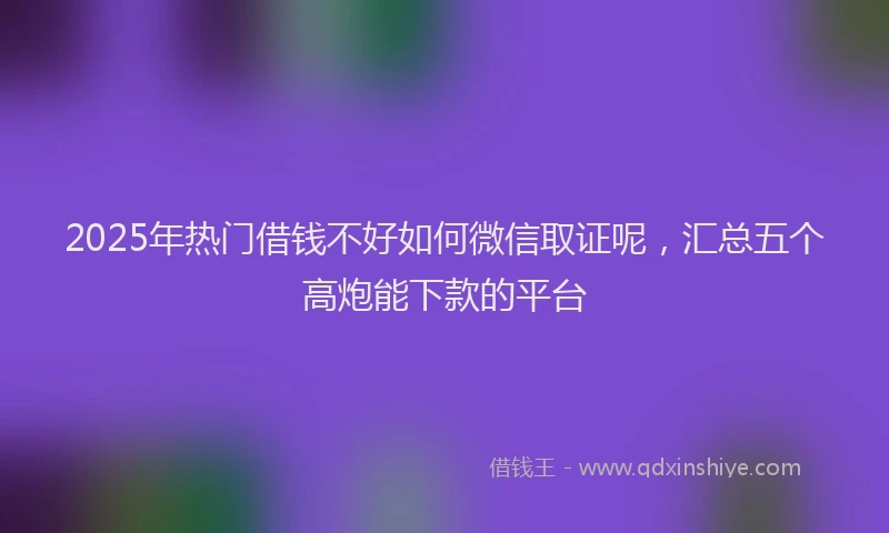 2025年热门借钱不好如何微信取证呢，汇总五个高炮能下款的平台