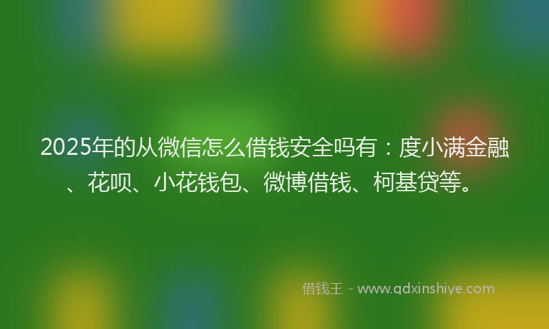 2025年的从微信怎么借钱安全吗有：度小满金融、花呗、小花钱包、微博借钱、柯基贷等。
