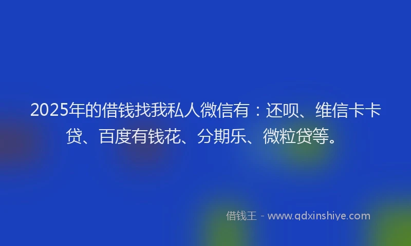 2025年的借钱找我私人微信有：还呗、维信卡卡贷、百度有钱花、分期乐、微粒贷等。