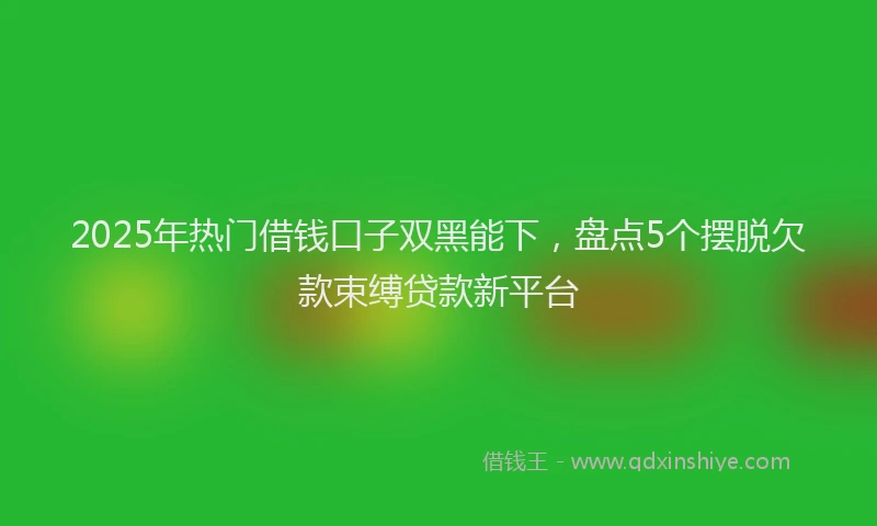 2025年热门借钱口子双黑能下，盘点5个摆脱欠款束缚贷款新平台