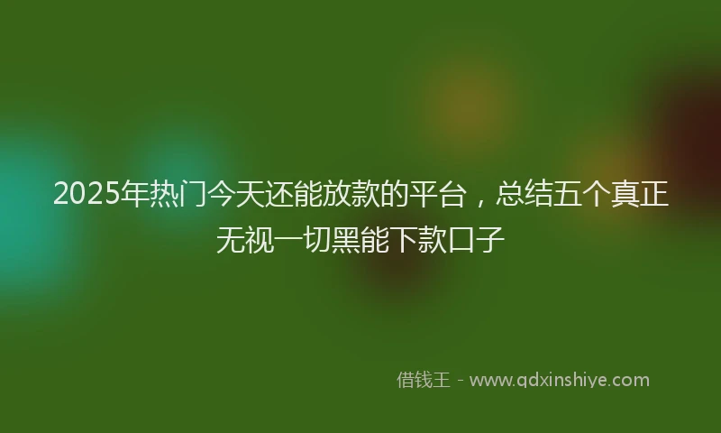 2025年热门今天还能放款的平台，总结五个真正无视一切黑能下款口子