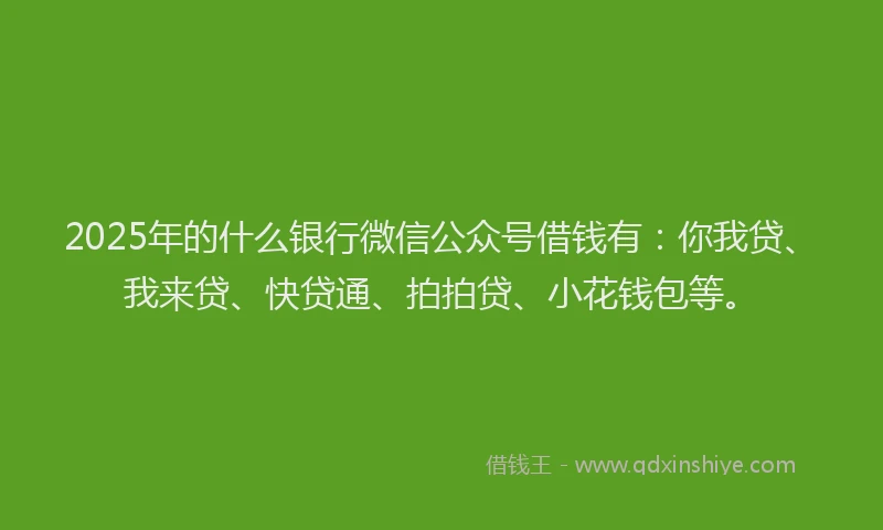 2025年的什么银行微信公众号借钱有：你我贷、我来贷、快贷通、拍拍贷、小花钱包等。