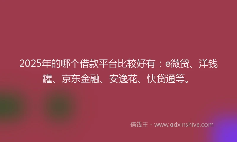 2025年的哪个借款平台比较好有：e微贷、洋钱罐、京东金融、安逸花、快贷通等。