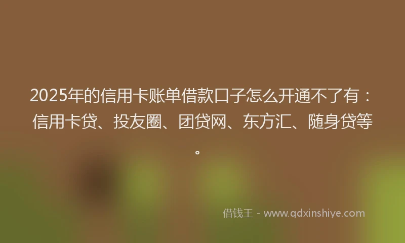 2025年的信用卡账单借款口子怎么开通不了有：信用卡贷、投友圈、团贷网、东方汇、随身贷等。