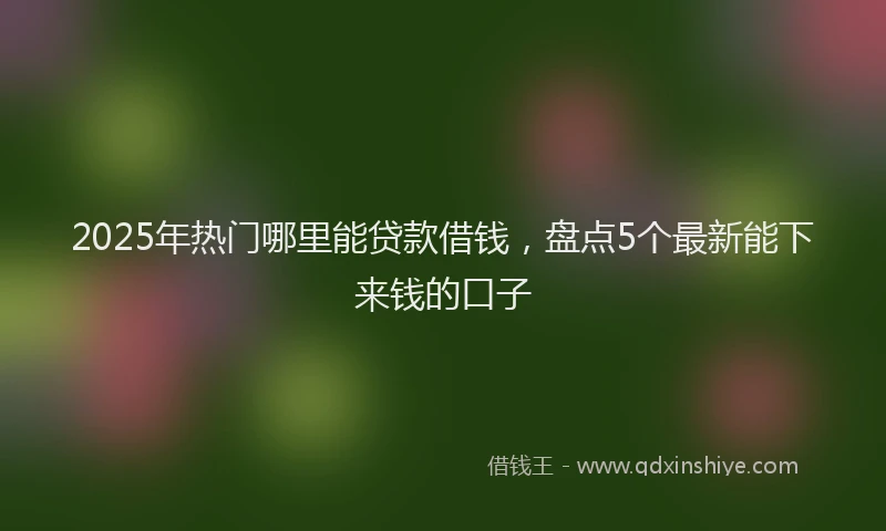 2025年热门哪里能贷款借钱，盘点5个最新能下来钱的口子