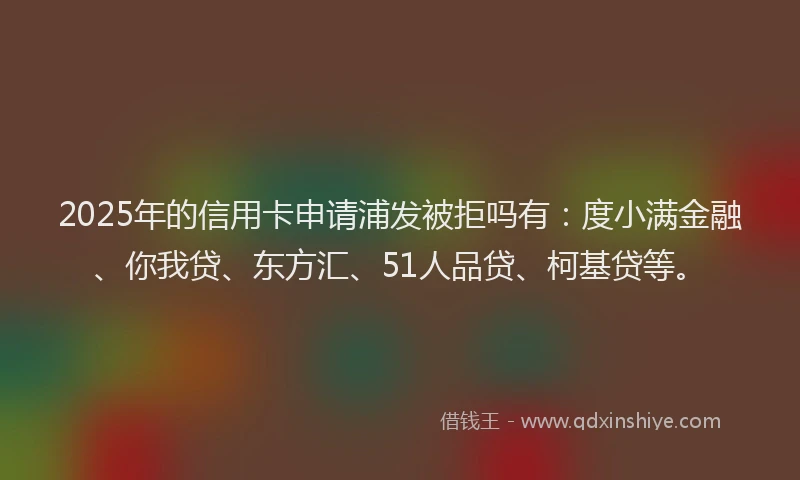 2025年的信用卡申请浦发被拒吗有：度小满金融、你我贷、东方汇、51人品贷、柯基贷等。