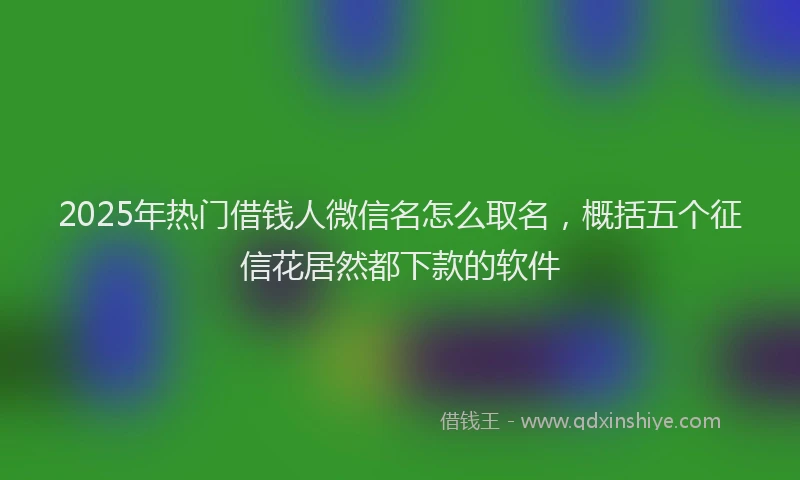 2025年热门借钱人微信名怎么取名，概括五个征信花居然都下款的软件