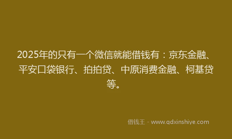 2025年的只有一个微信就能借钱有：京东金融、平安口袋银行、拍拍贷、中原消费金融、柯基贷等。