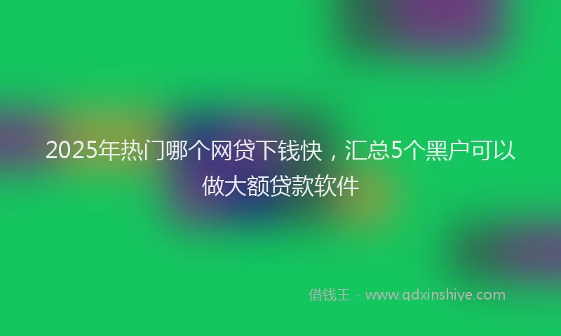 2025年热门哪个网贷下钱快，汇总5个黑户可以做大额贷款软件