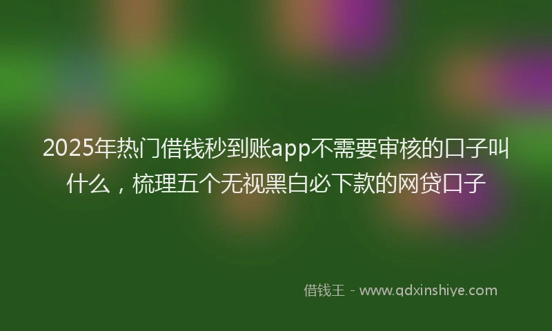 2025年热门借钱秒到账app不需要审核的口子叫什么，梳理五个无视黑白必下款的网贷口子