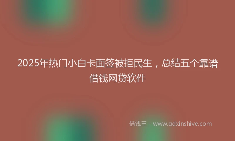 2025年热门小白卡面签被拒民生，总结五个靠谱借钱网贷软件