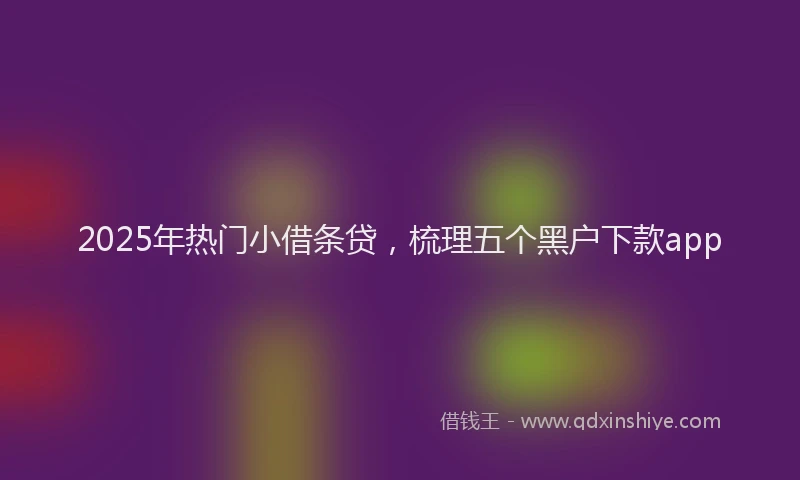 2025年热门小借条贷，梳理五个黑户下款app