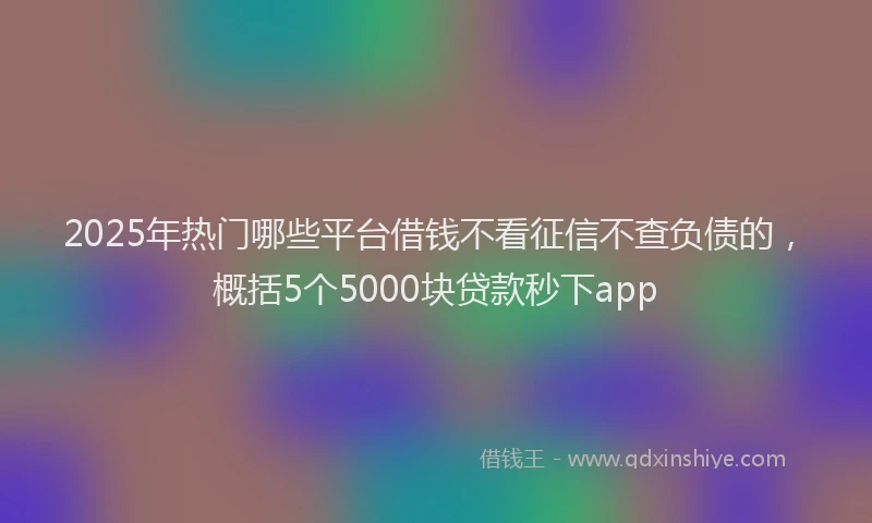 2025年热门哪些平台借钱不看征信不查负债的，概括5个5000块贷款秒下app