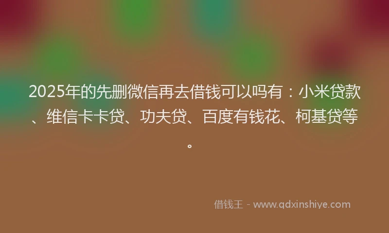 2025年的先删微信再去借钱可以吗有：小米贷款、维信卡卡贷、功夫贷、百度有钱花、柯基贷等。