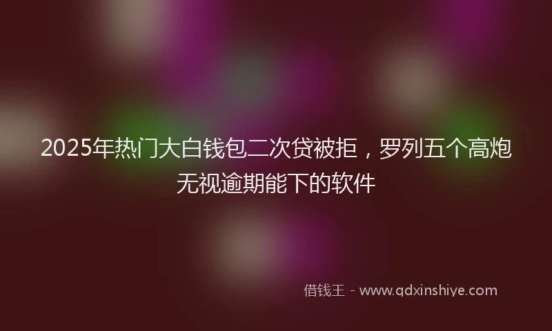 2025年热门大白钱包二次贷被拒，罗列五个高炮无视逾期能下的软件