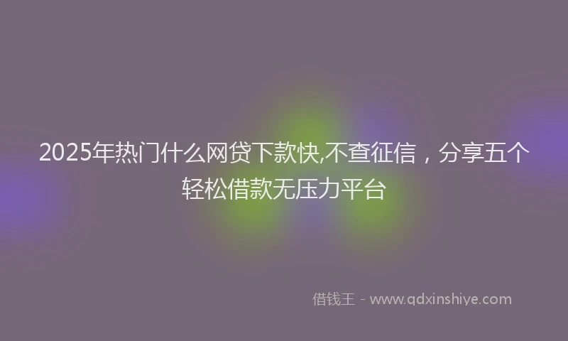 2025年热门什么网贷下款快,不查征信，分享五个轻松借款无压力平台