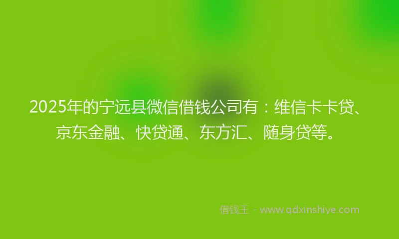 2025年的宁远县微信借钱公司有：维信卡卡贷、京东金融、快贷通、东方汇、随身贷等。