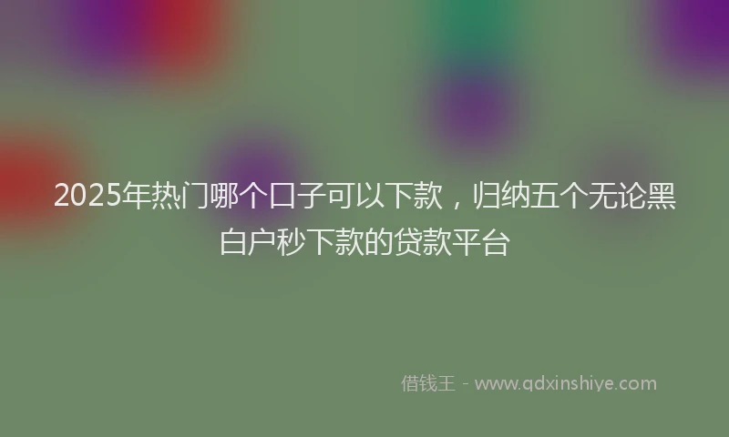 2025年热门哪个口子可以下款，归纳五个无论黑白户秒下款的贷款平台