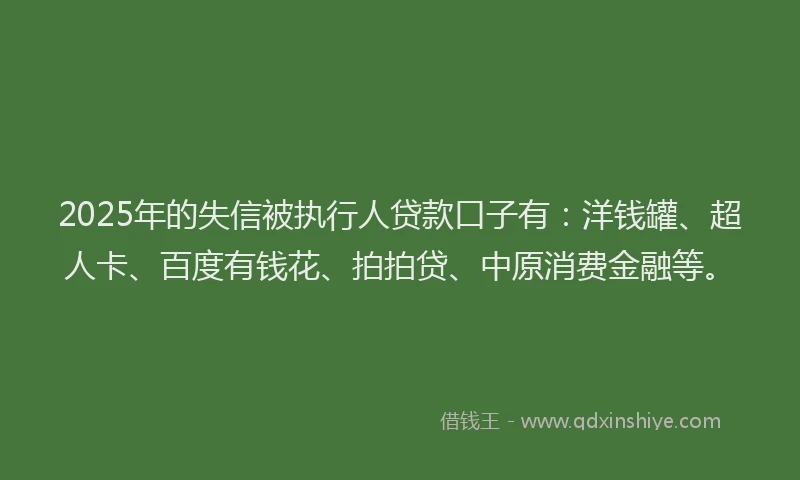 2025年的失信被执行人贷款口子有：洋钱罐、超人卡、百度有钱花、拍拍贷、中原消费金融等。